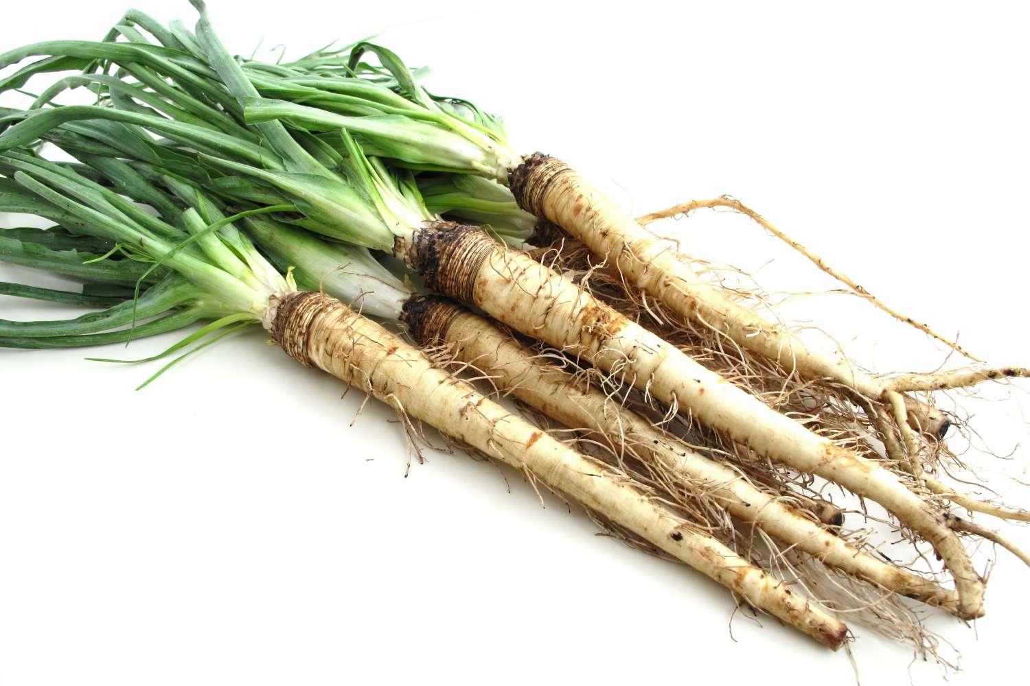 Salsify