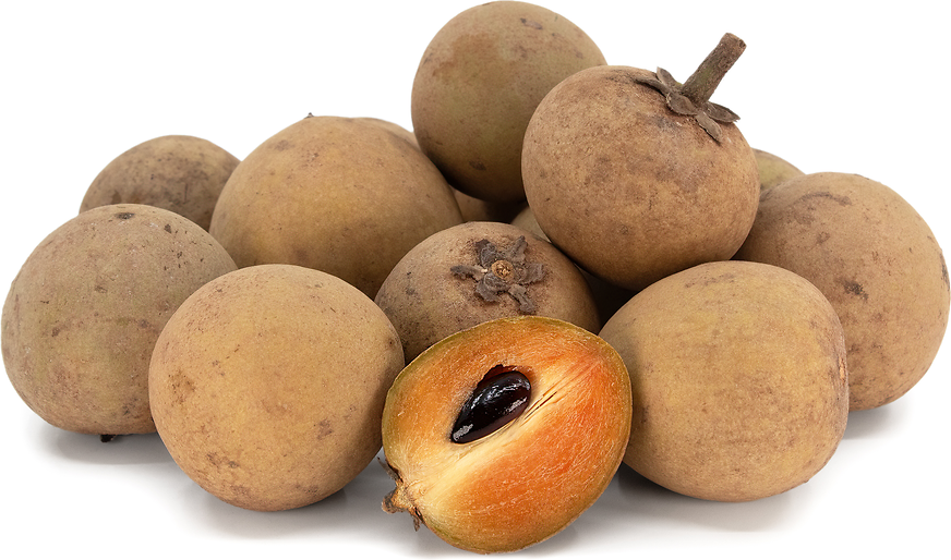 Sapodilla