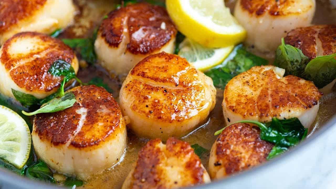 Scallops