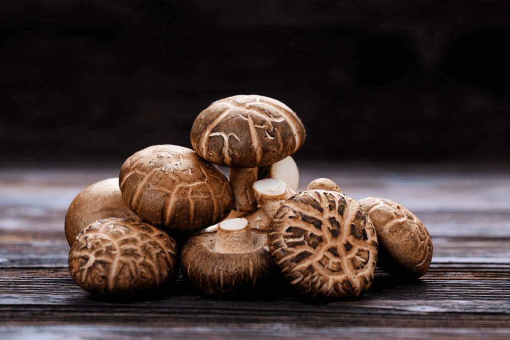 Shiitake_Mushroom