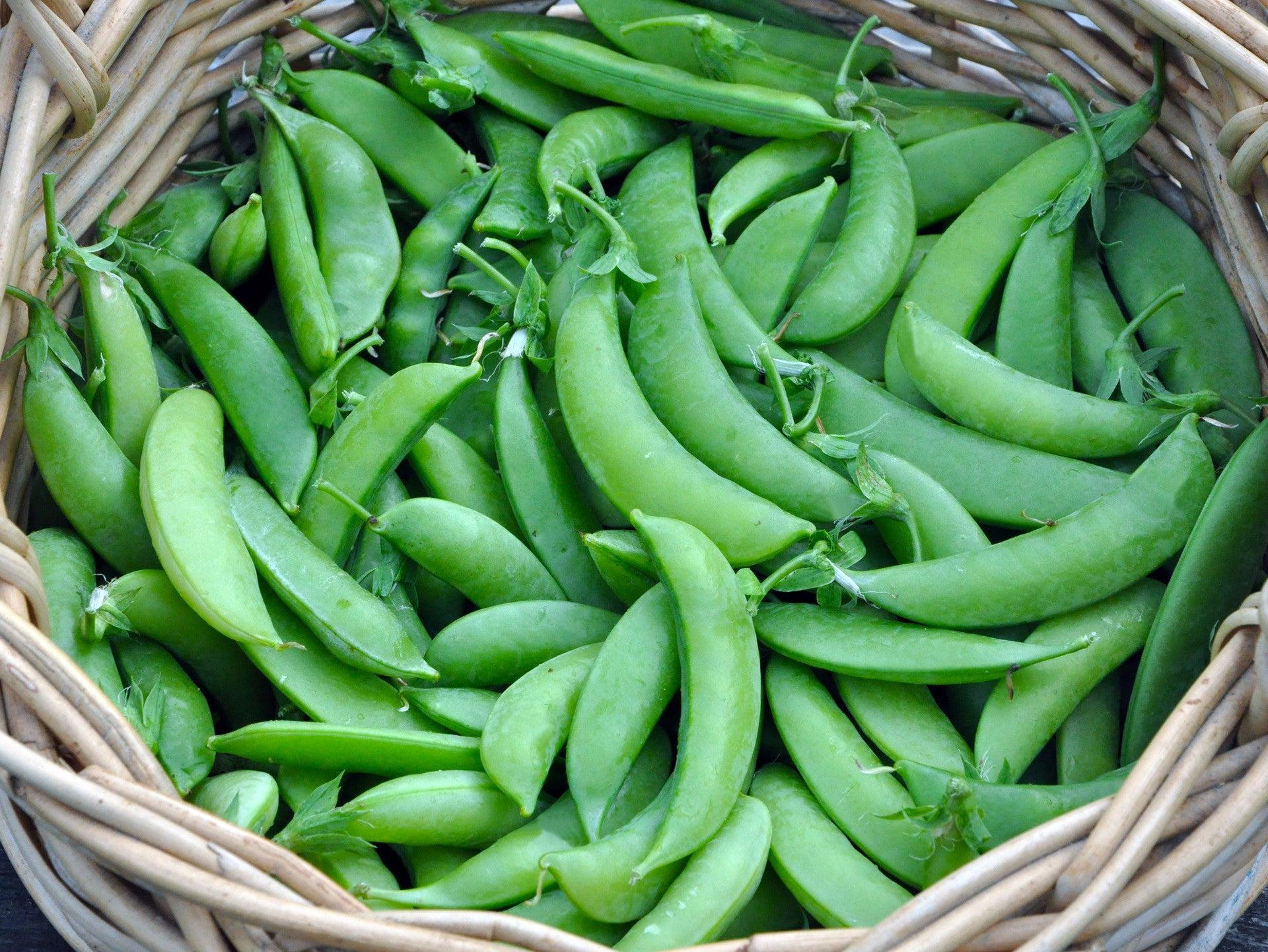 Sugar_Snap_Peas