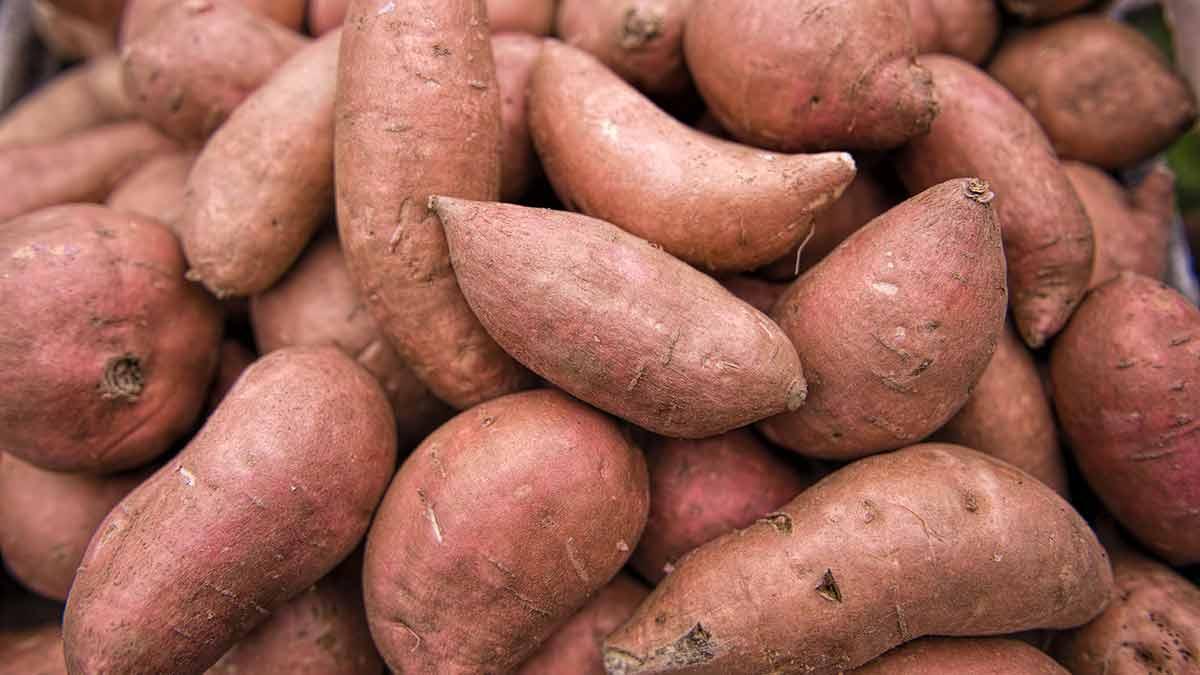 Sweet_Potatoes