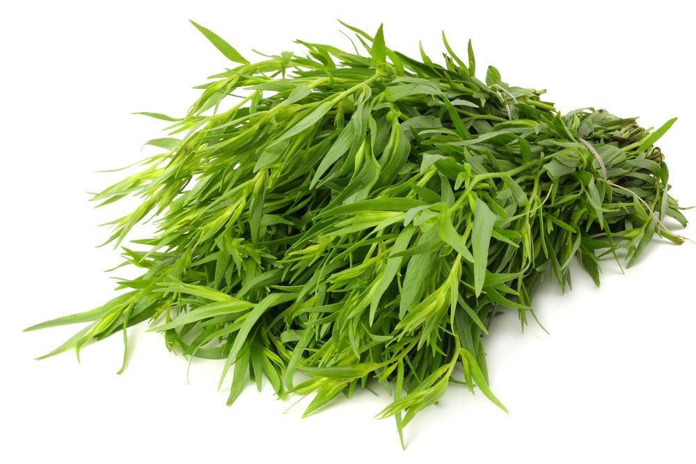 Tarragon