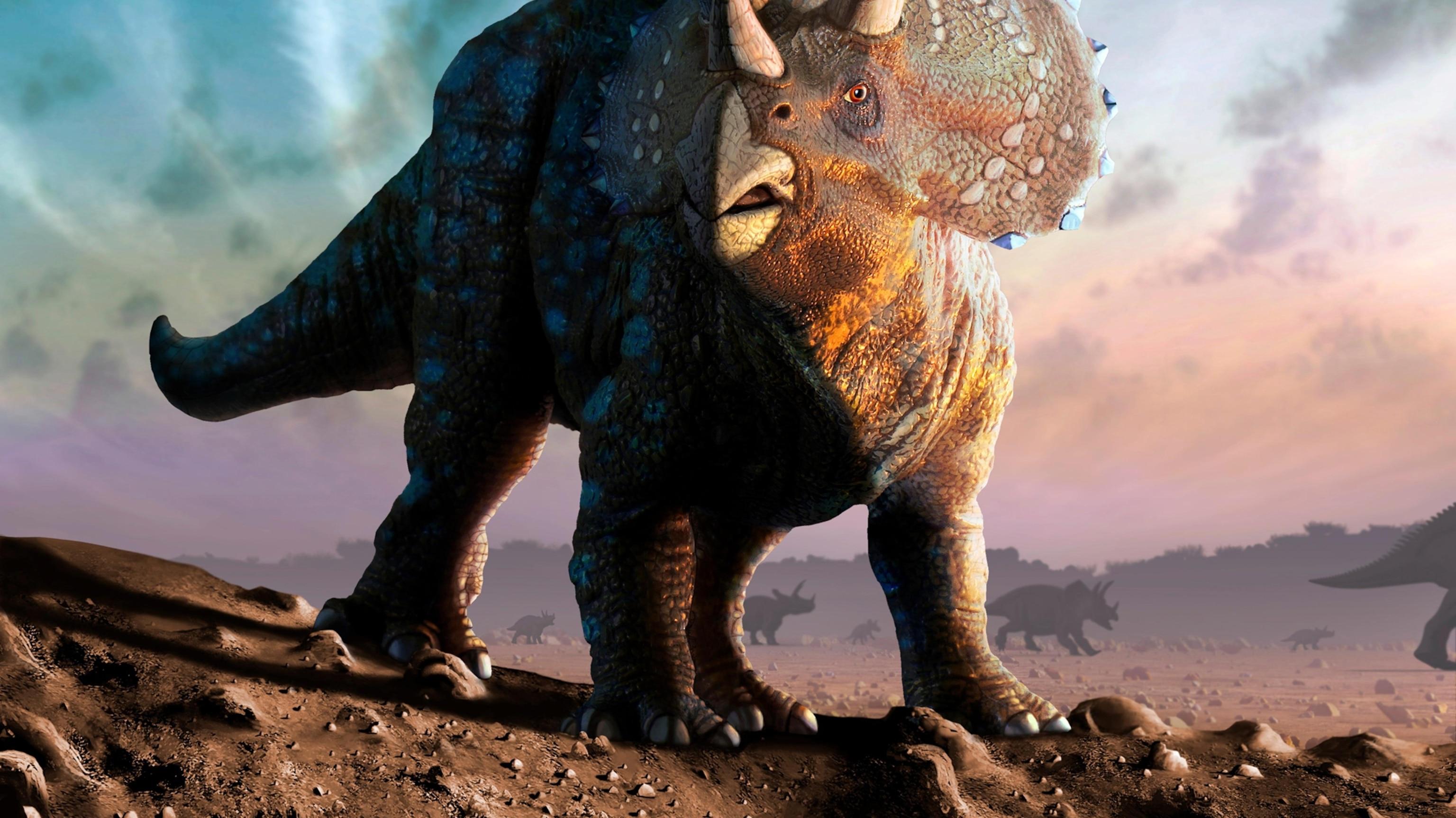 Triceratops