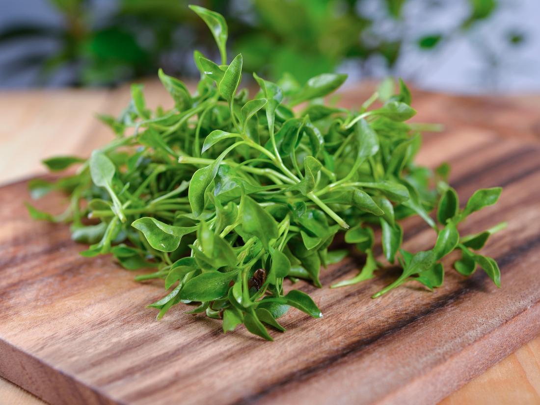 Watercress