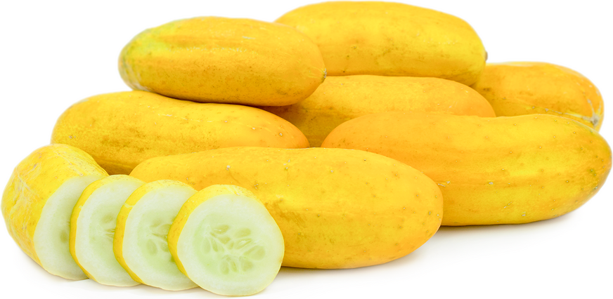 Yellow_Cucumber