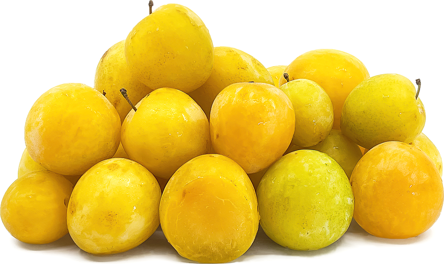 Yellow_Plumcot