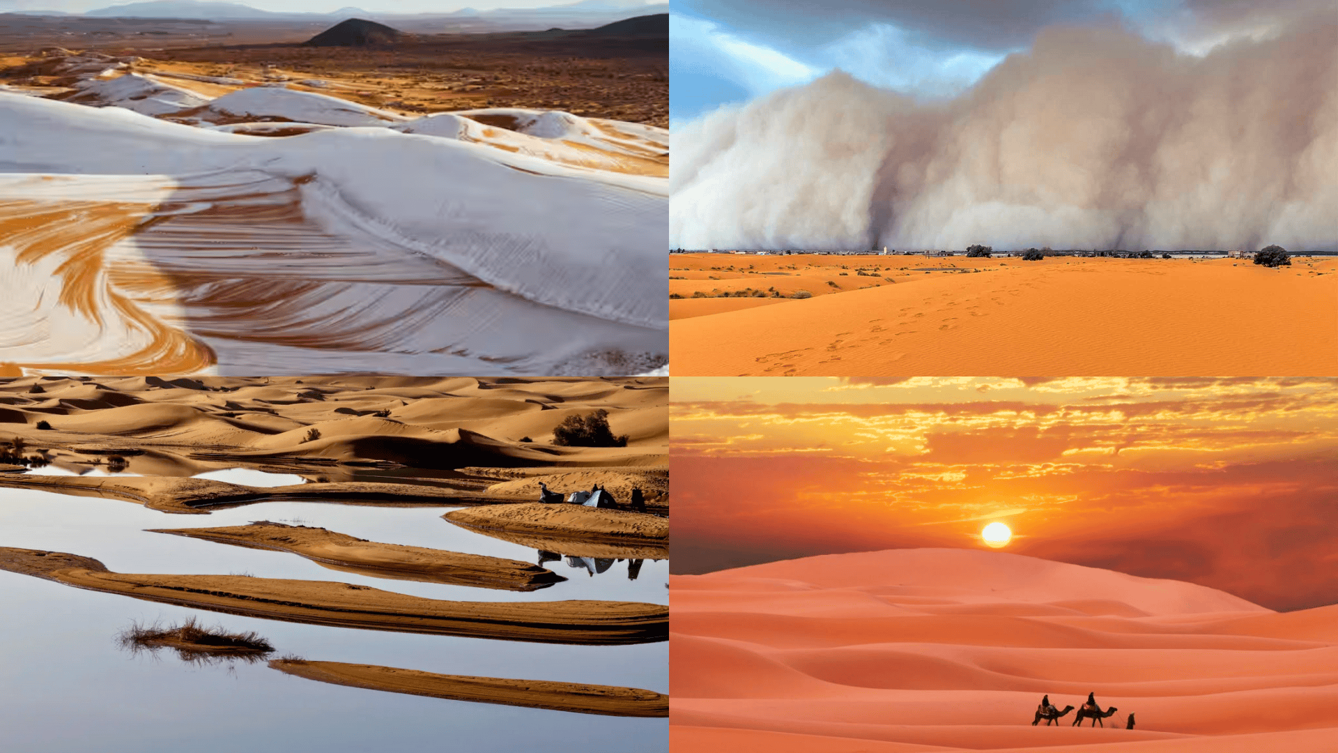 Facts_About_Desert_Weather