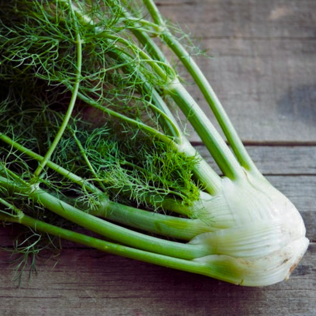 Fennel