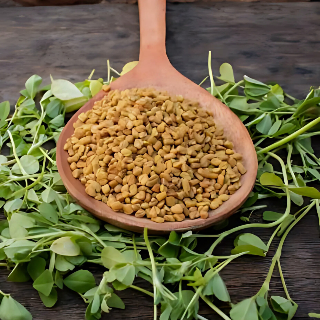 Fenugreek