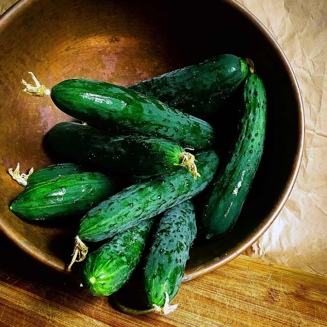 Field_Cucumber