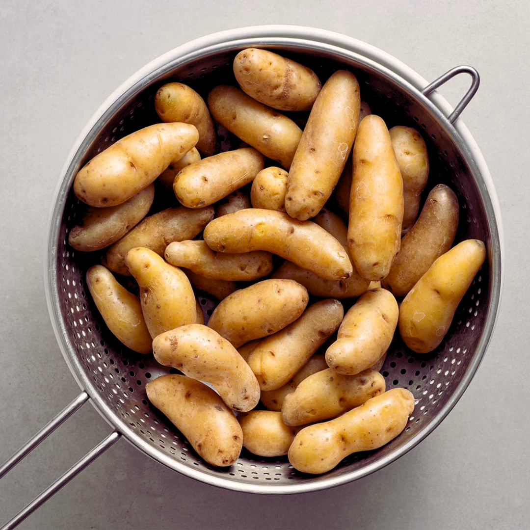 Fingerling_Potato