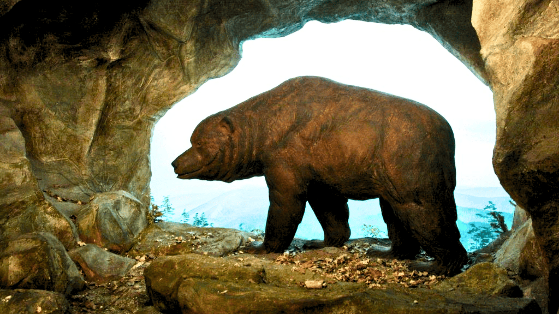 Ursus_Spelaeus_Cave_Bear