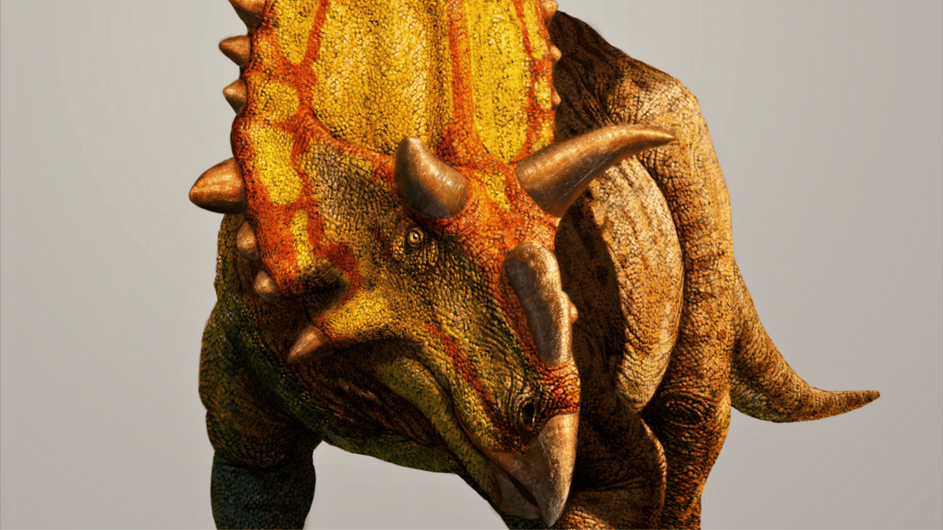 Xenoceratops_Xenoceratops_Foremostensis