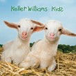 keller keller