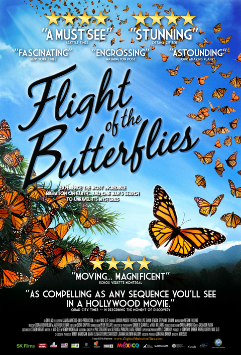 flight of the butterflies 2d reviews poster.indd
