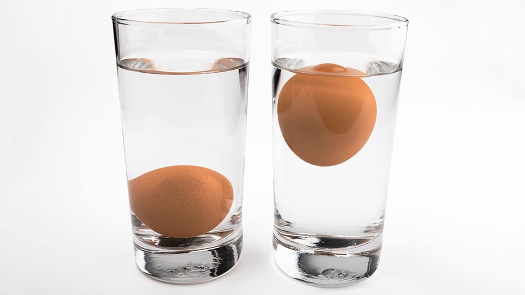 Floating Eggs