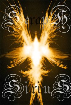 Seraphim Angels