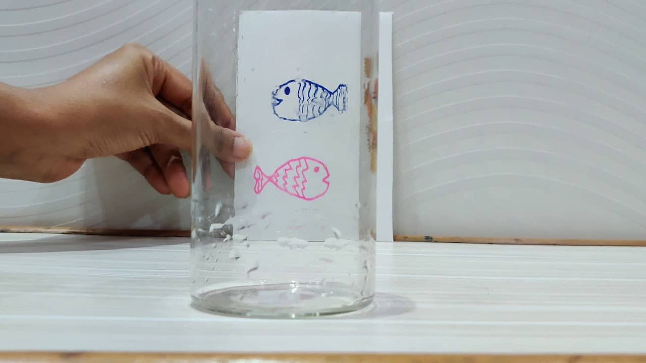 The Magic of Light Refraction