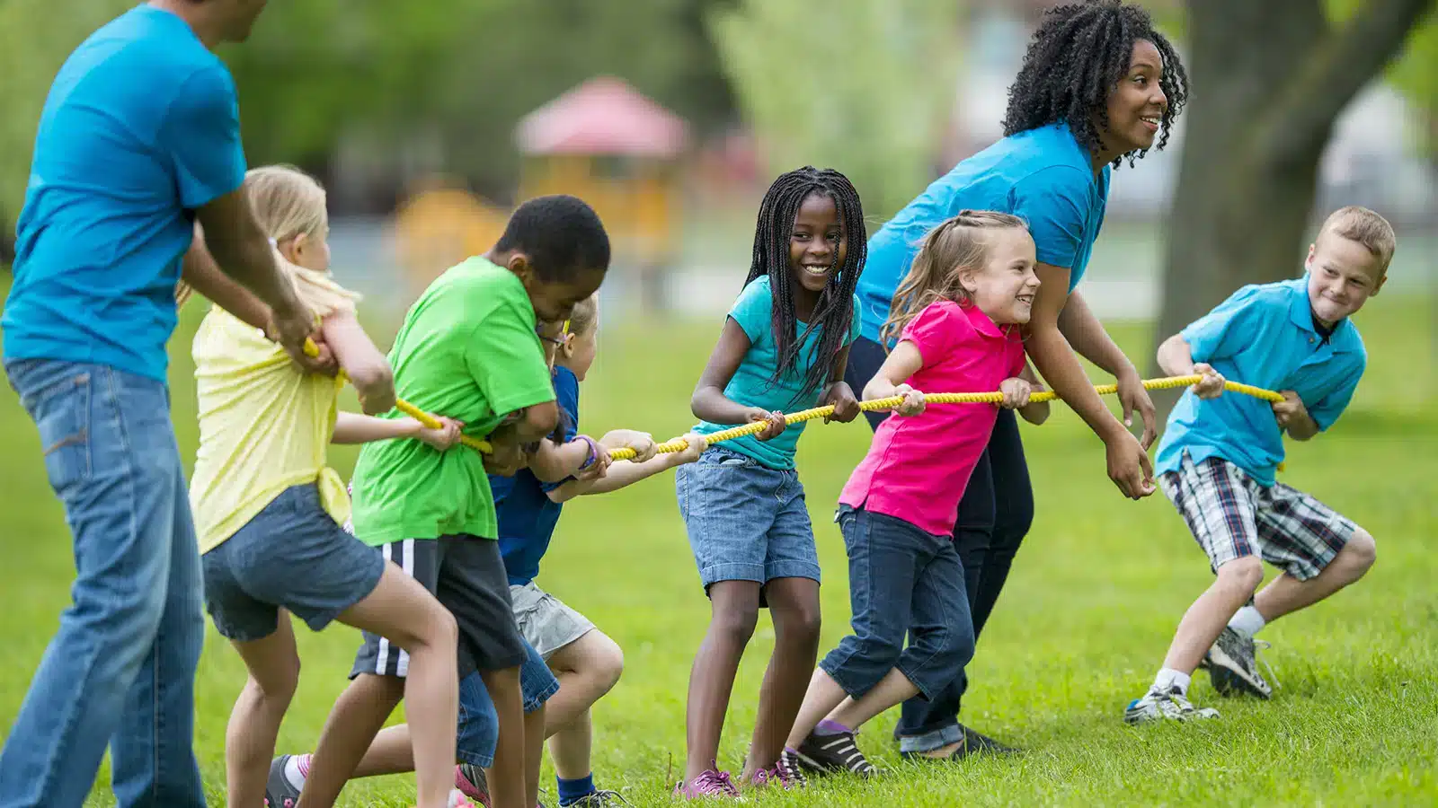 Tug-of-War .jpg