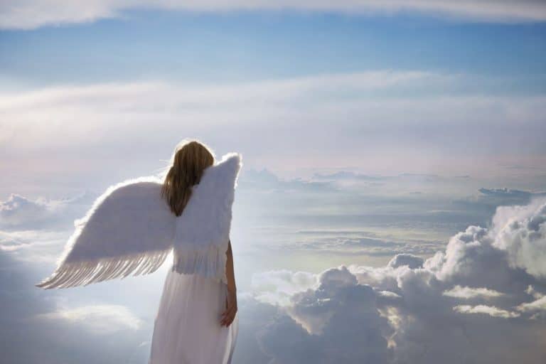 Types of Angels You Should Know About