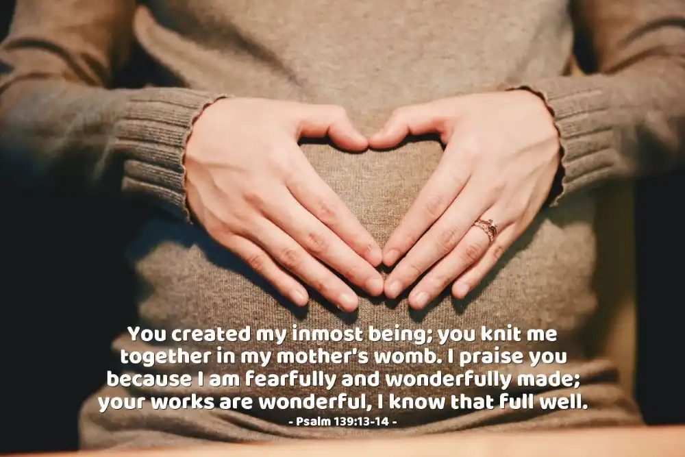 your work is wonderful know that ver well