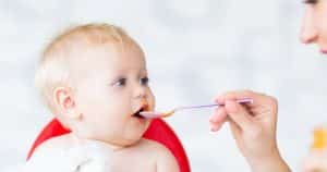 9 Month Old Feeding Schedule