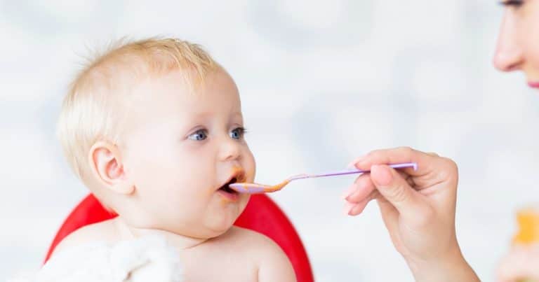 9 Month Old Feeding Schedule