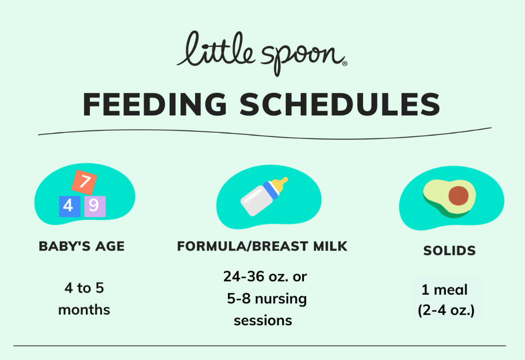 6 month baby feeding 2024 chart