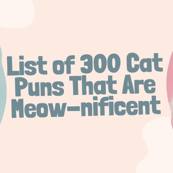 List of 300 Cat Puns That Are Meow-nificent