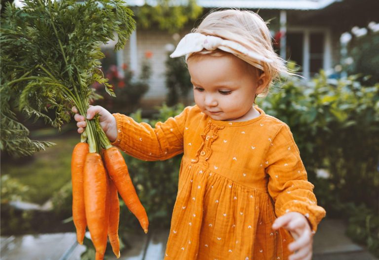 6 Outdoor Adventure Ideas for Curious Kids