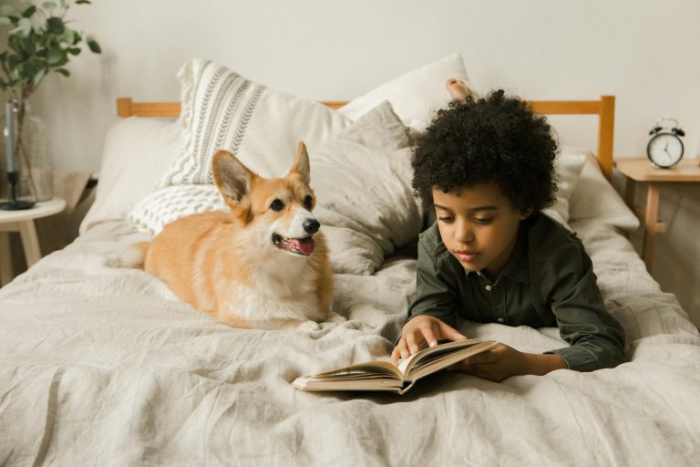A Guide to Buying Child-Friendly Beds Your Kids Can Grow Into