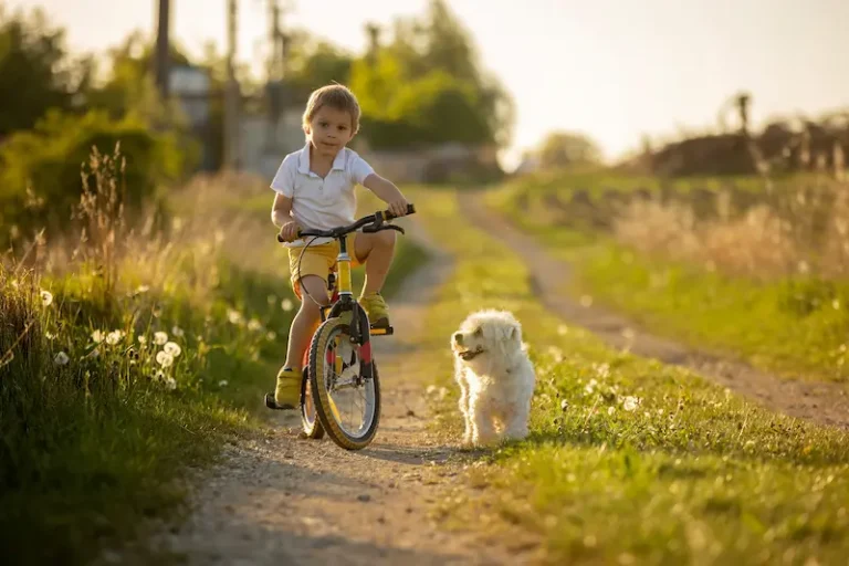 Ensuring Your Child's Safety: A Comprehensive Guide Across Key Areas