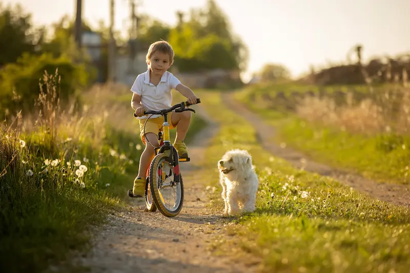 Ensuring Your Child's Safety: A Comprehensive Guide Across Key Areas