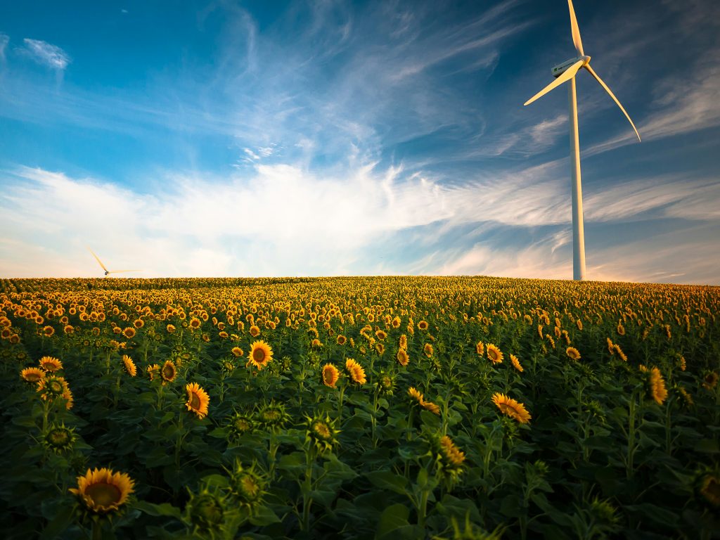 Navigating Your Energy Plan Options