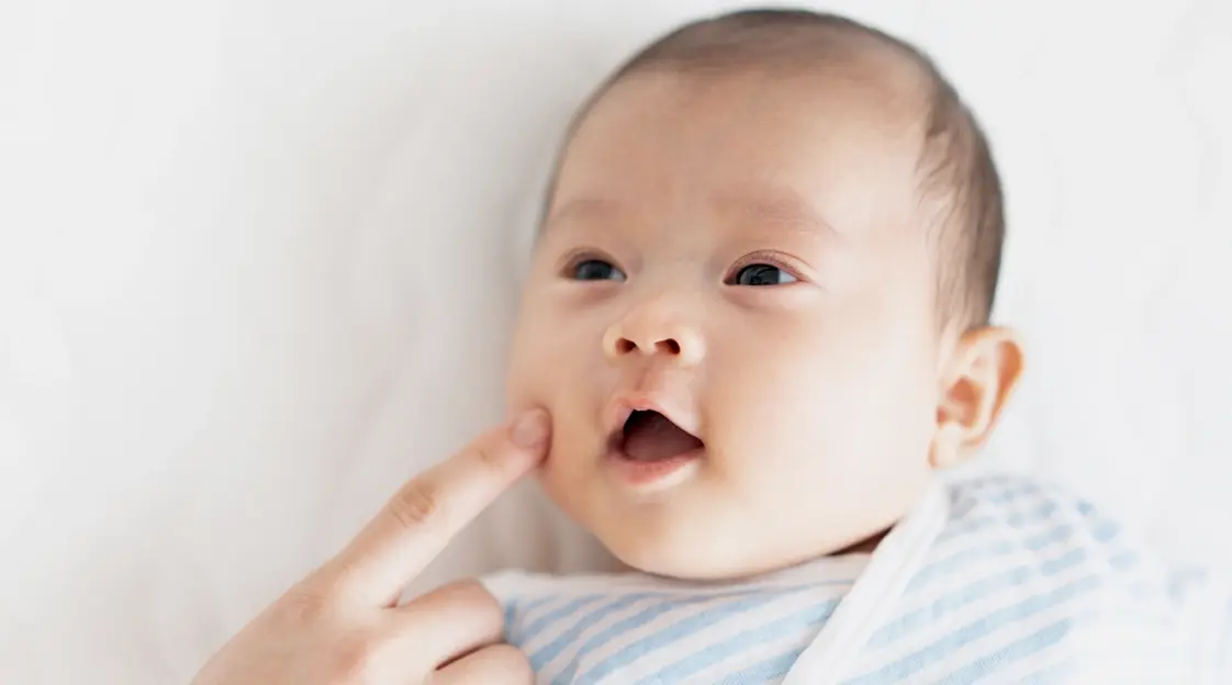 Rooting Reflex