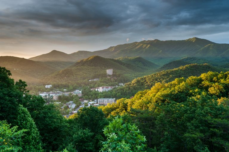 Mastering the Art of Travel: Essential Tips for the Avid Explorer