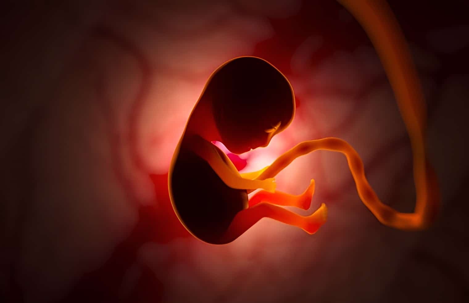 5 months pregnant symptoms