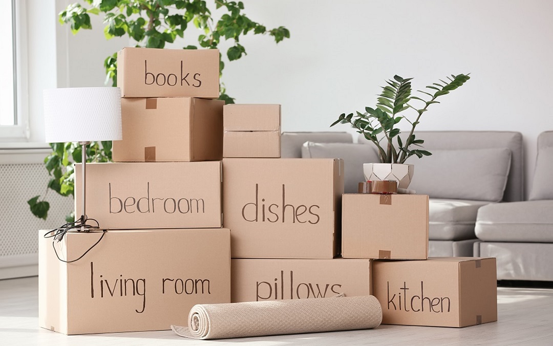 Categorise Your Moving Boxes