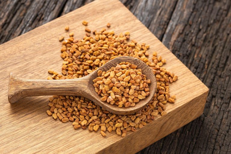 dried fenugreek seeds on wooden spoon