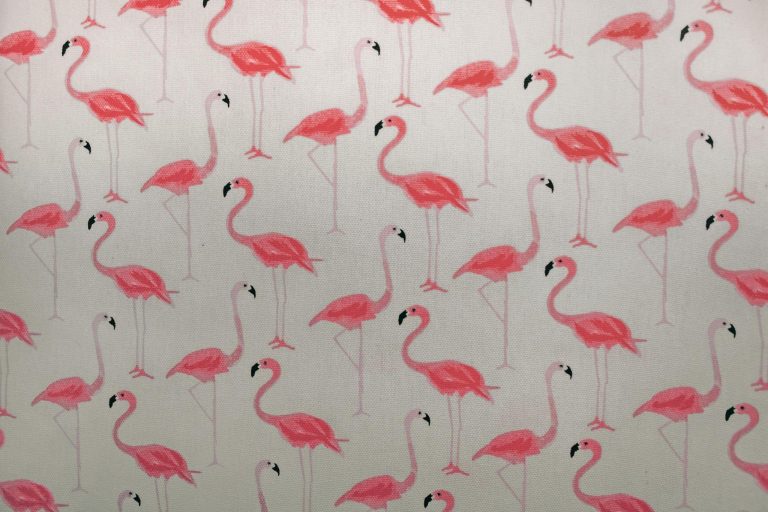 What Makes Cool Wallpapers for Kids and Where to Find Them