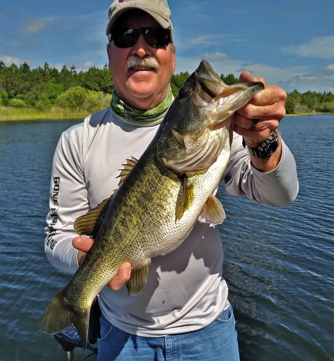 Bass (Largemouth)