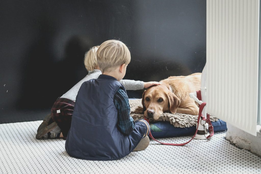 Can Having a Pet Make Your Kids Responsible?
