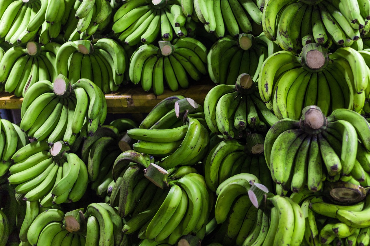 Desert Banana