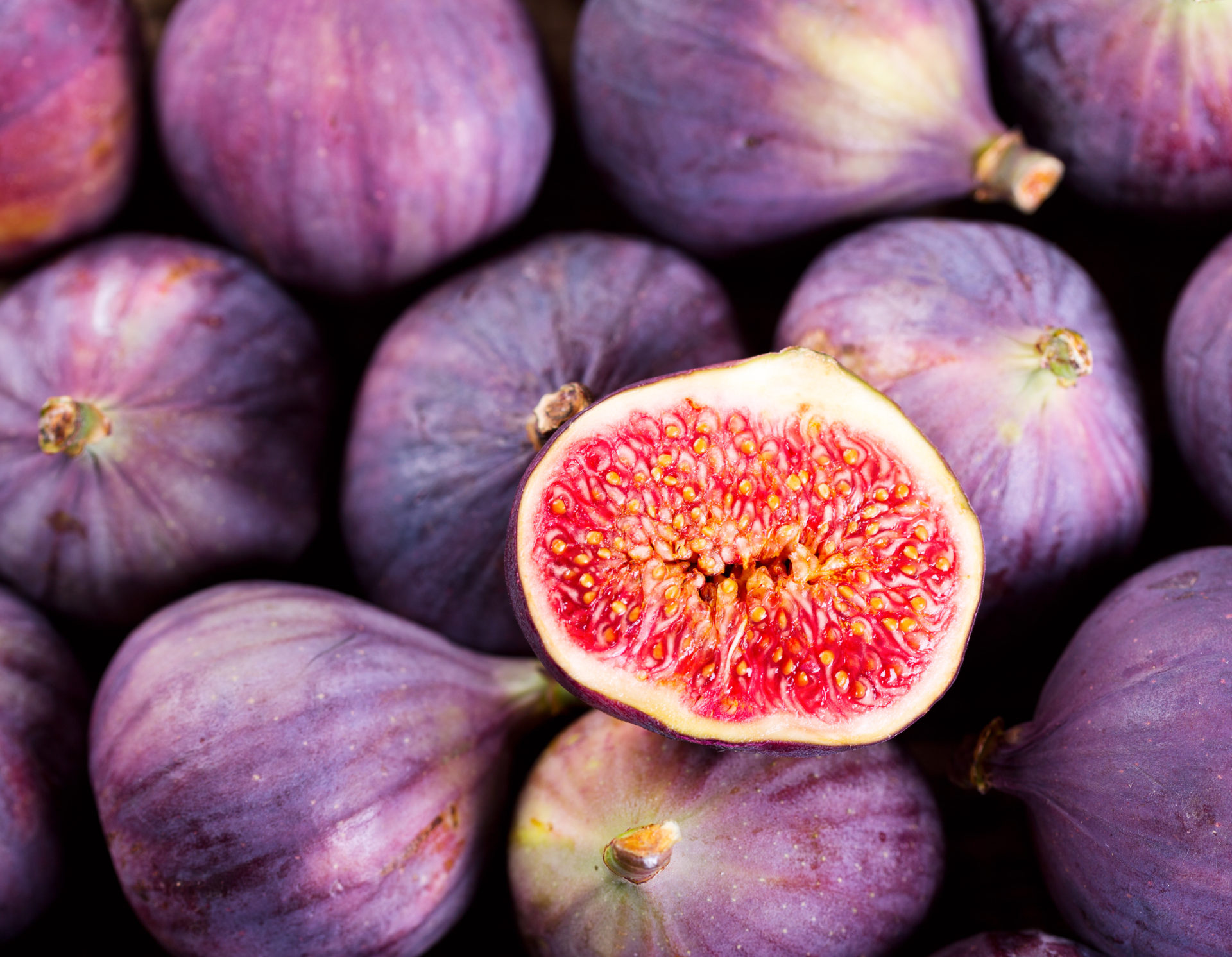 Desert Fig