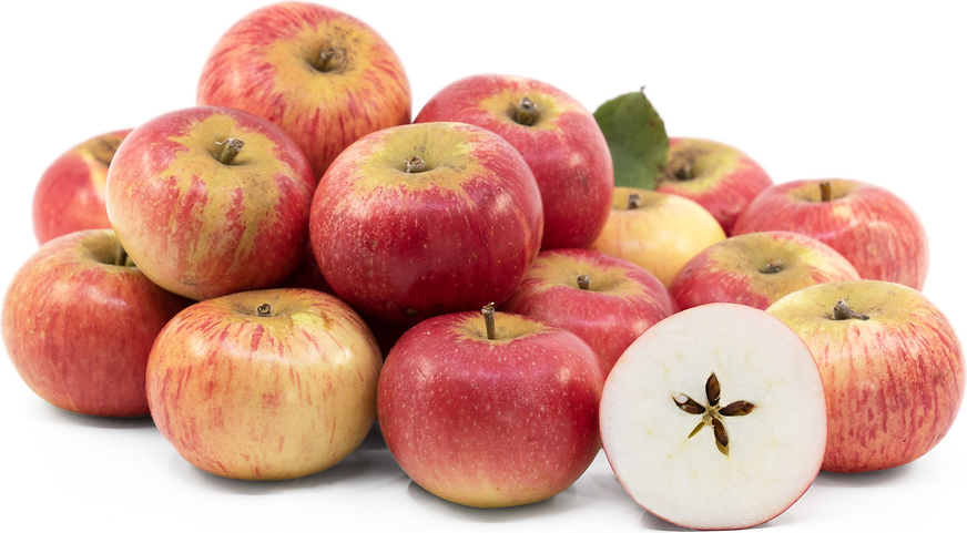 Discovery Apple