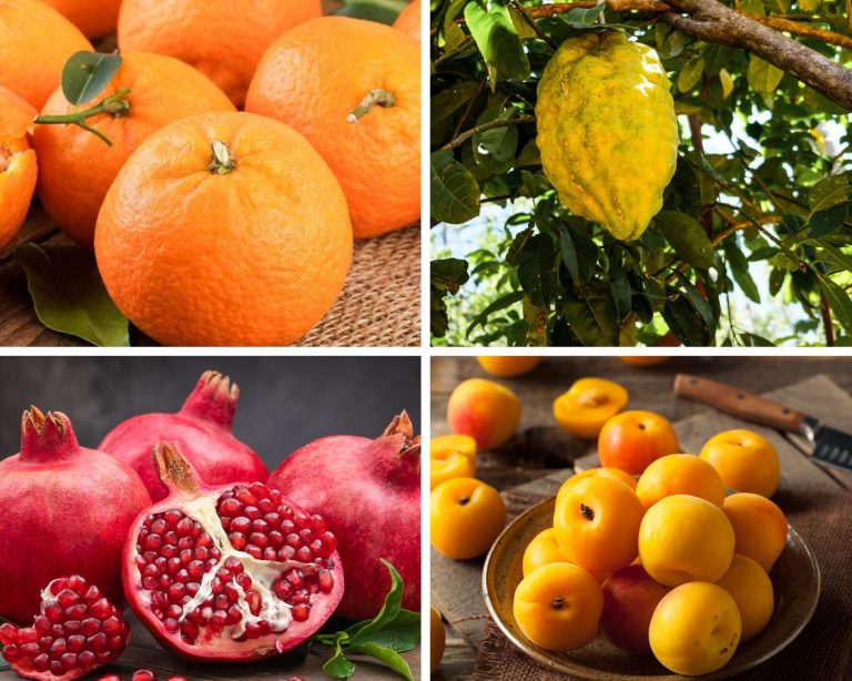 Fruits that Start with P
