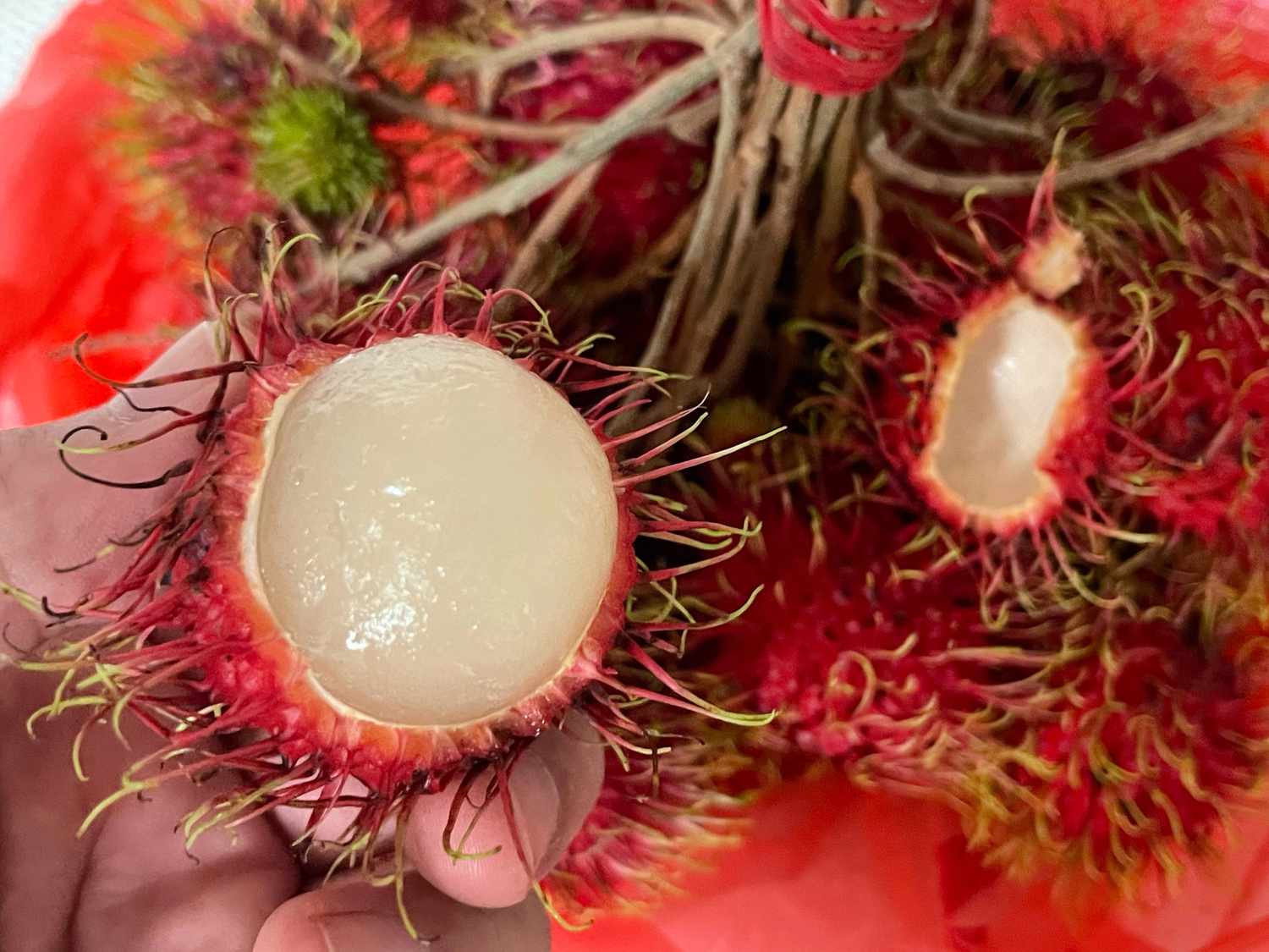 Hairless Rambutan