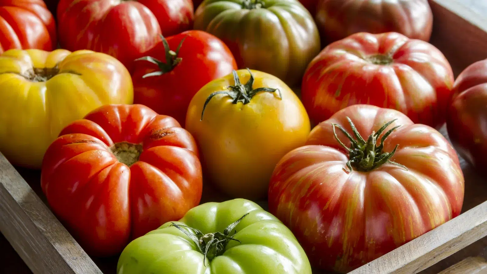 Heirloom Tomato