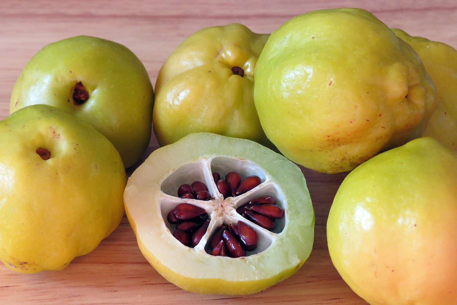 Japanese Quince